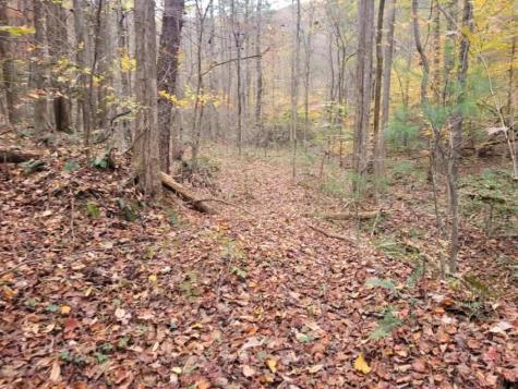 0 Old Chopped Oak Road Ellijay GA 30540