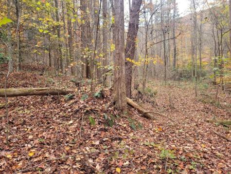 0 Old Chopped Oak Road Ellijay GA 30540