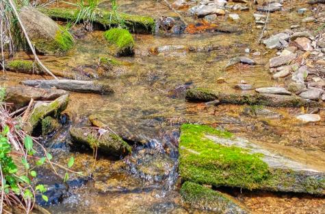 241 Ac Legion Road Ellijay GA 30540