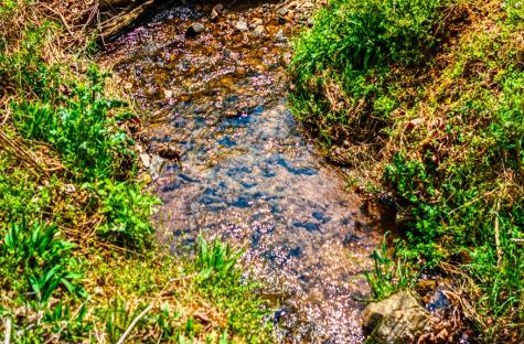 241 Ac Legion Road Ellijay GA 30540