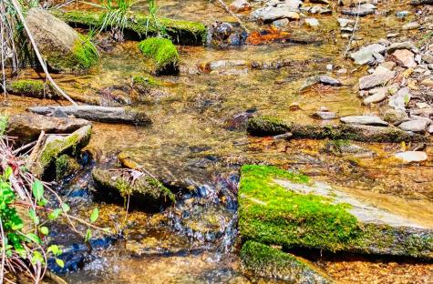 241 Ac Legion Road Ellijay GA 30540