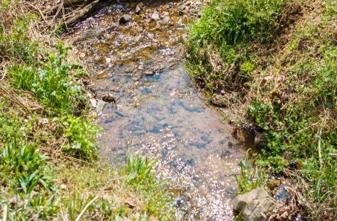 241 Ac Legion Road Ellijay GA 30540