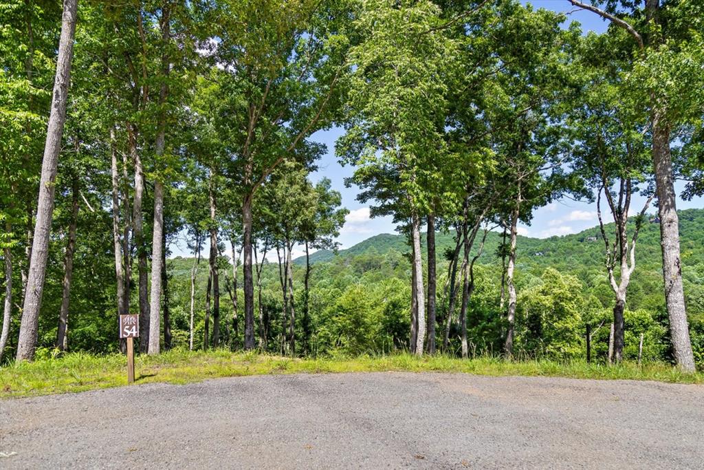 Lot 54 Hickory Lane Mineral Bluff GA 30559