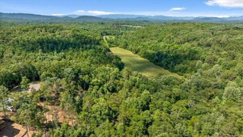 Lot 54 Hickory Lane Mineral Bluff GA 30559