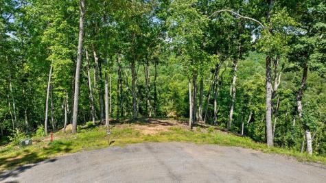 Lot 54 Hickory Lane Mineral Bluff GA 30559