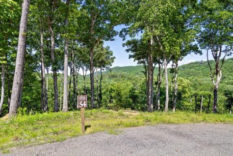 Lot 54 Hickory Lane Mineral Bluff GA 30559