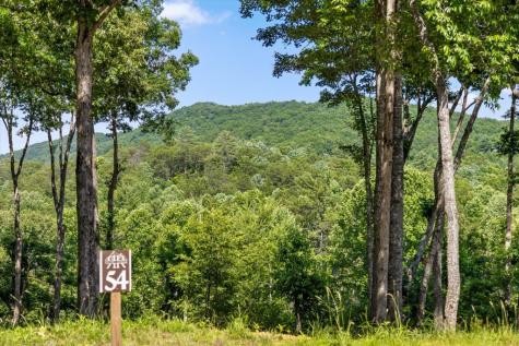 Lot 54 Hickory Lane Mineral Bluff GA 30559
