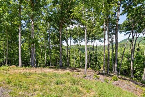 Lot 54 Hickory Lane Mineral Bluff GA 30559