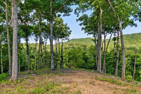 Lot 54 Hickory Lane Mineral Bluff GA 30559