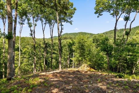 Lot 54 Hickory Lane Mineral Bluff GA 30559