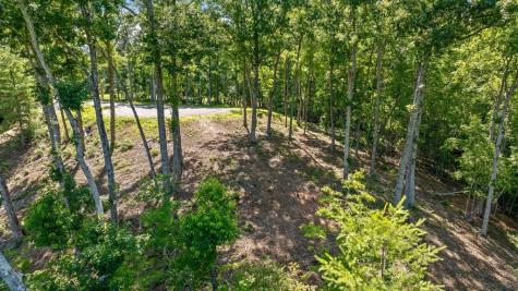 Lot 54 Hickory Lane Mineral Bluff GA 30559