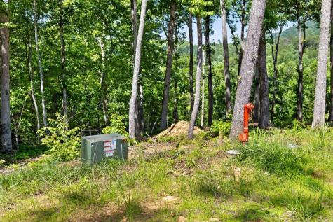Lot 54 Hickory Lane Mineral Bluff GA 30559