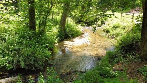 Tract 1 Timber Ridge Road Blairsville GA 30512