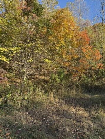 Lot 2 Henson Road Hayesville NC 28904