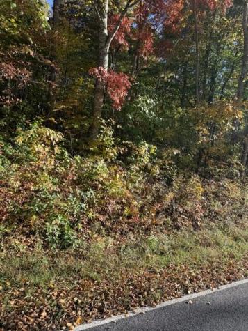 Lot 2 Henson Road Hayesville NC 28904