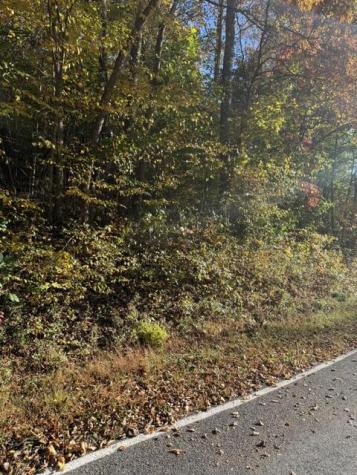 Lot 2 Henson Road Hayesville NC 28904