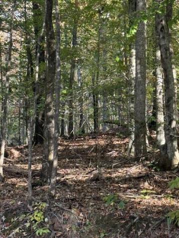 Lot 2 Henson Road Hayesville NC 28904