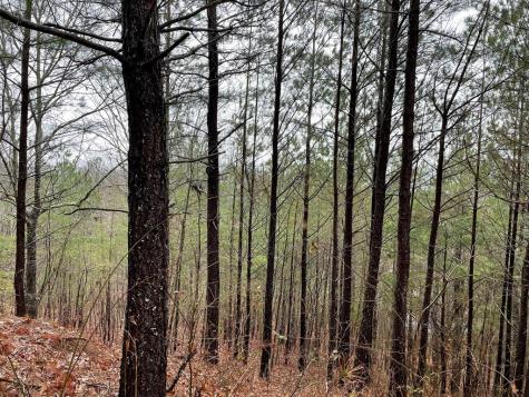 26 Sunset View Blairsville GA 30512