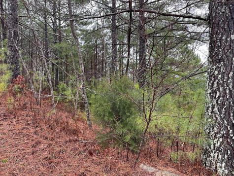 26 Sunset View Blairsville GA 30512