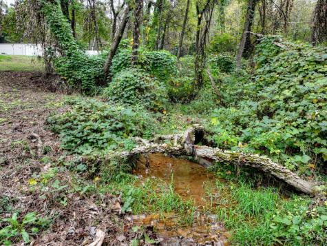 Tr 2 Davis Road Blue Ridge GA 30513