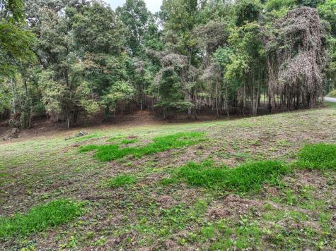 Tr 2 Davis Road Blue Ridge GA 30513