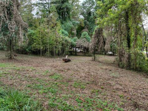 Tr 2 Davis Road Blue Ridge GA 30513