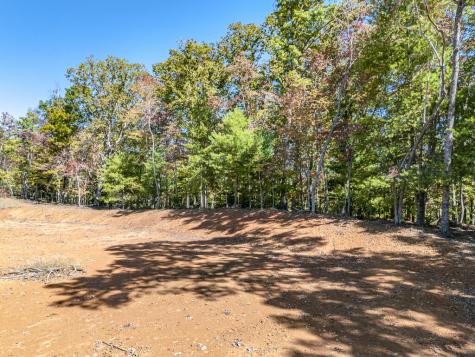 0 Peaks Drive Hayesville NC 28904