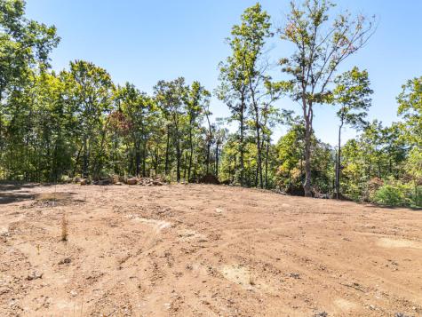0 Peaks Drive Hayesville NC 28904