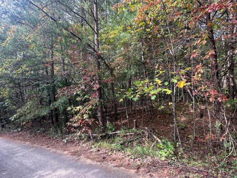 Lot 14 Pine Grove Drive Blue Ridge GA 30541