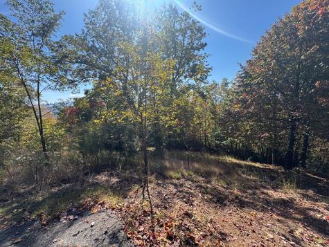 1280 E Double Knobs Drive Hayesville NC 28904