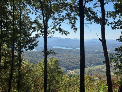 1280 E Double Knobs Drive Hayesville NC 28904
