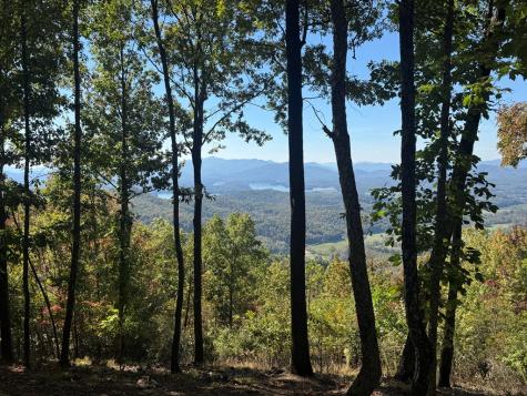 1280 E Double Knobs Drive Hayesville NC 28904