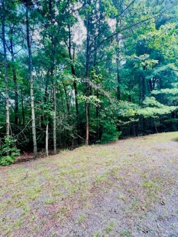 Lot 42 Squirrel Hunting Road Ellijay GA 30540