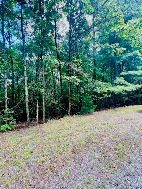 Lot 42 Squirrel Hunting Road Ellijay GA 30540