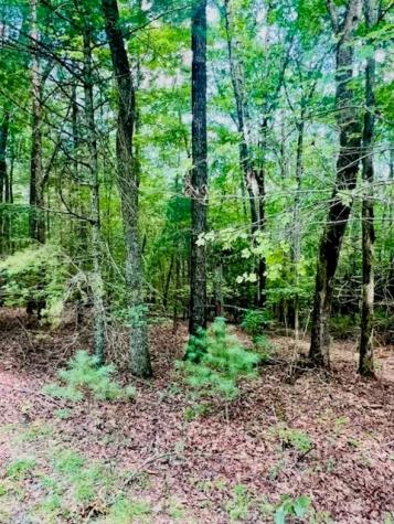 Lot 42 Squirrel Hunting Road Ellijay GA 30540