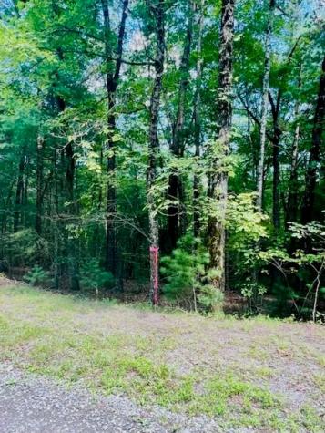 Lot 42 Squirrel Hunting Road Ellijay GA 30540