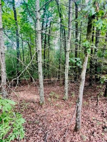Lot 42 Squirrel Hunting Road Ellijay GA 30540