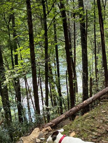 00 Berry Patch Road Murphy NC 28906