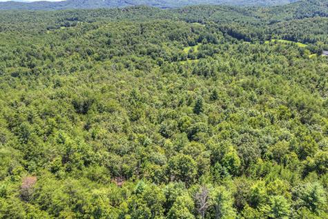 48.4AC Lofty Heights Mineral Bluff GA 30559