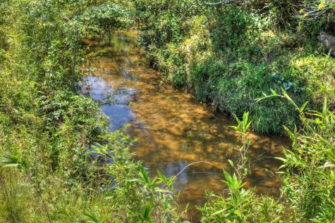 48.4AC Lofty Heights Mineral Bluff GA 30559