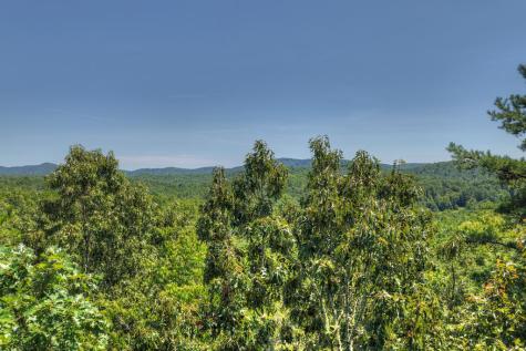 48.4AC Lofty Heights Mineral Bluff GA 30559