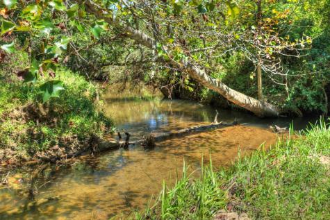 48.4AC Lofty Heights Mineral Bluff GA 30559