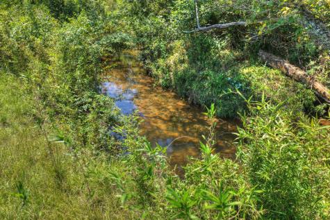 48.4AC Lofty Heights Mineral Bluff GA 30559