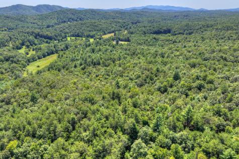 48.4AC Lofty Heights Mineral Bluff GA 30559