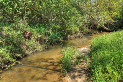 48.4AC Lofty Heights Mineral Bluff GA 30559