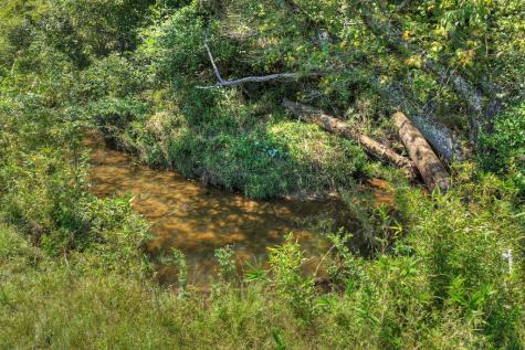 48.4AC Lofty Heights Mineral Bluff GA 30559