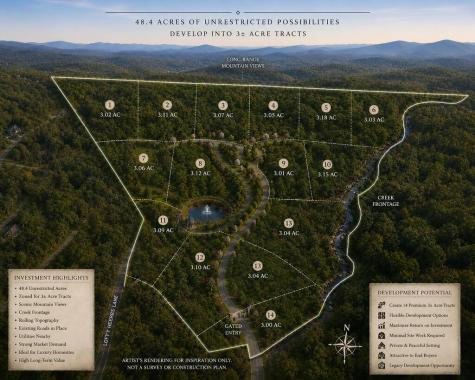 48.4AC Lofty Heights Mineral Bluff GA 30559