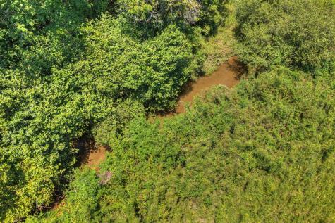 48.4AC Lofty Heights Mineral Bluff GA 30559