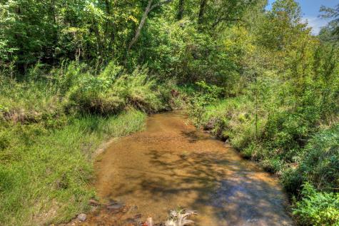48.4AC Lofty Heights Mineral Bluff GA 30559