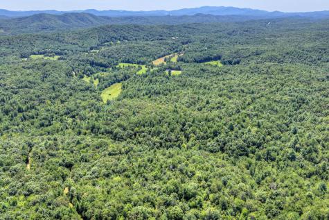 48.4AC Lofty Heights Mineral Bluff GA 30559